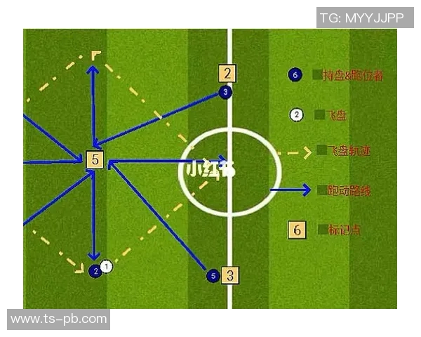 武汉飞盘队的阵地战体系与飞盘战术的深度解析与应用探讨