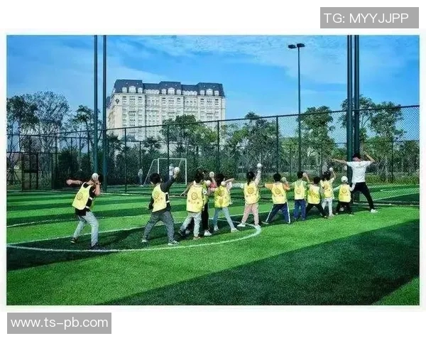 趣味盎然的teeball比赛体验提升孩子团队合作与运动技巧