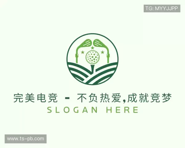 知道完美电竞